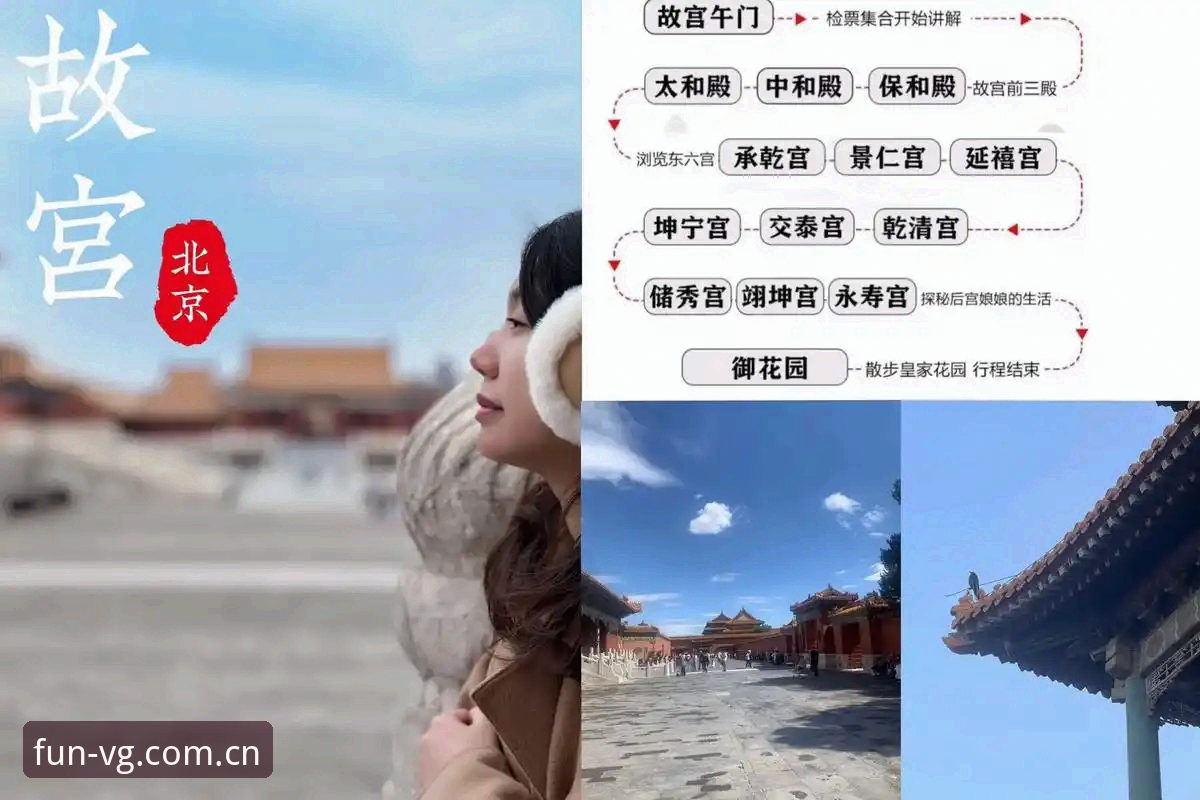 资深用户深度分享：从梅里诺康复看VG棋牌平台赛事体验
